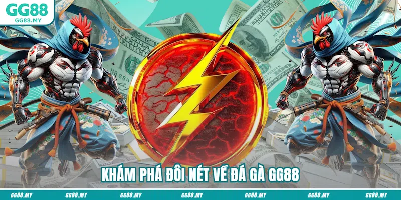 Khám phá đôi nét về đá gà GG88